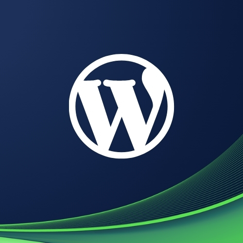 WordPress E-Ticaret